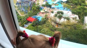 ВЛОГ #1： Едем в Леголенд, РУМ ТУР в Отеле Лего Малайзия