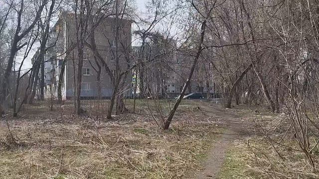 17.04.26 Моя продуктивная неделя//4 готовые работы//новые маркеры