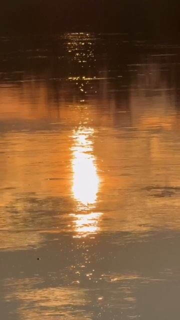 Любовь Рода - Невидимая Опора. Инна Филячева и Ирина Корниенко#вселеннаяя #стихи #пробуждение #род