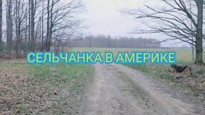 Сельчанка в Америке ЖИВУ В АМЕРИКАНСКОЙ ДЕРЕВНЕ И ВЫПЕКАЮ ХЛЕБ
