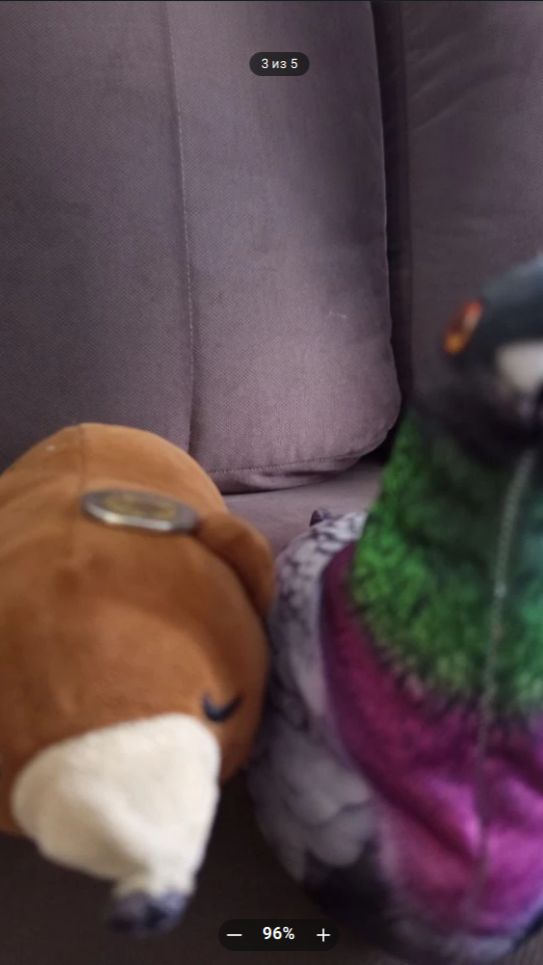 соревнования пунь пуня 2 сезон 2 серия