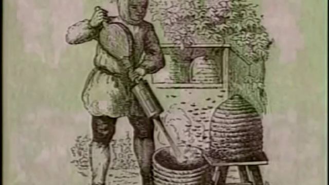 01. Краткая история пчеловодства, Университет Джорджии, США