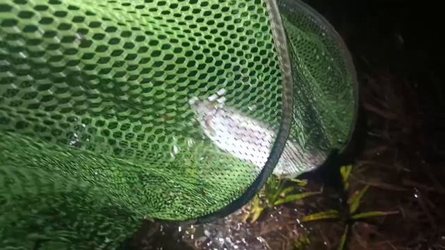 VID_20260417_212332_906