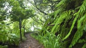 Песня для души. Тишина внутри...