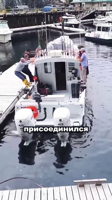 2 ноября 2025 г.