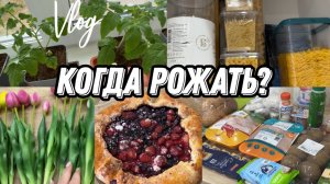 VLOG: Творожная ГАЛЕТА//Навожу ПОРЯДОК//Когда РОЖАТЬ???//Покупки //Развлечения//