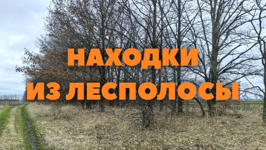 Весенний коп в лесополосе. Без находок я в очередной раз не уехал