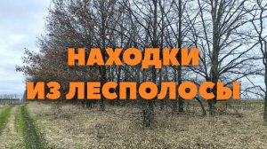 Весенний коп в лесополосе. Без находок я в очередной раз не уехал