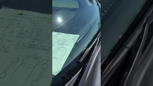 Обзор рынка зеленый угол Владивосток