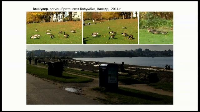 Дружинина О.Э. - Ландшафтное планирование: от стратегий к тактике