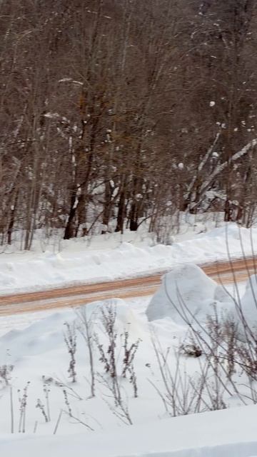 2025 Geely EX5 EM-i (Джили ЕХ5 ЕМ-и)