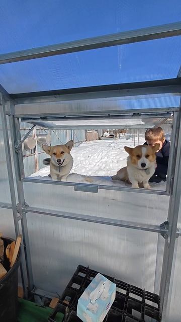 Один день из жизни в деревне