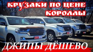 КРУЗАКИ ПО ЦЕНЕ КОРОЛЛЫ