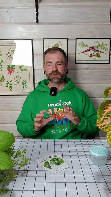 Огурцы собираю с июня до самой зимы! Секреты крепкой и урожайной рассады