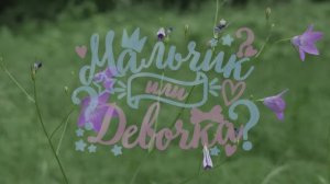 Мальчик или девочка? Узнаём пол нашего ребёнка.