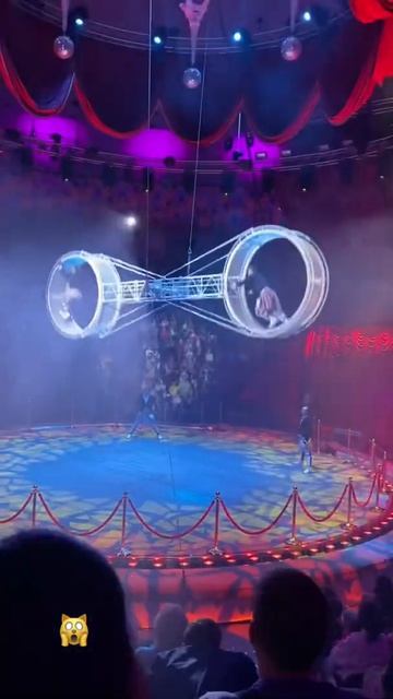 Цирк  Крутые Акробаты