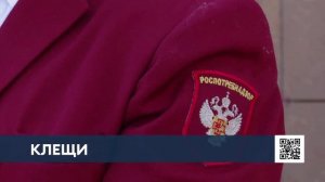 В Нижнекамске обработают от клещей места, на которые жалуются жители