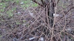 ⚡Осколочно-фугасные "сбросы" с БПЛА, которыми украинские террористы пытались атаковать граждански...