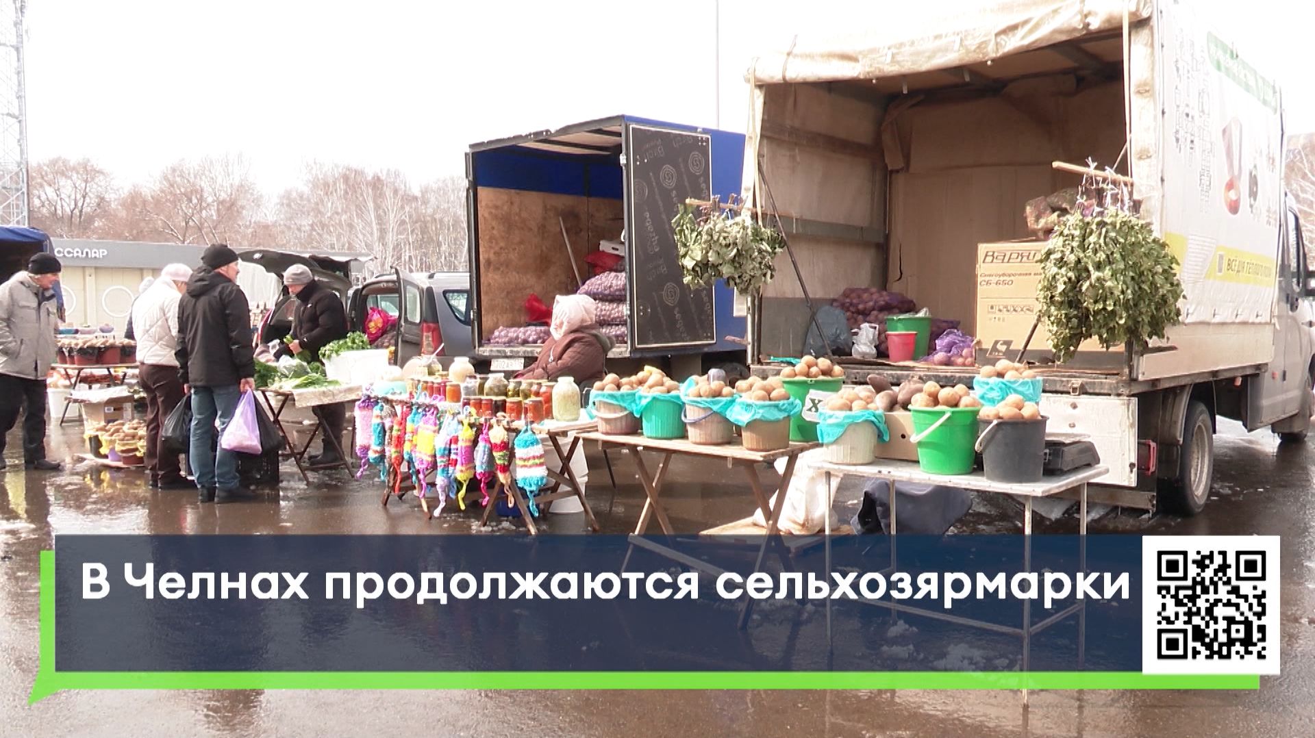 В Челнах продолжаются сельхозярмарки