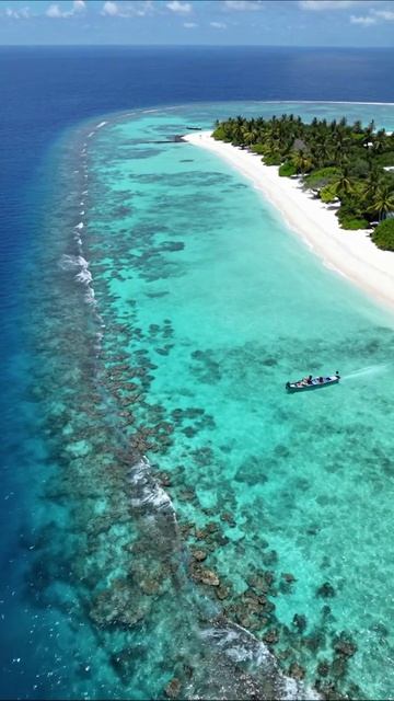 Крайний рай на земле: тропический остров Туризм Путешествия Природа