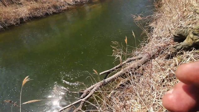 Встреча весны 2026 на речке.Рыбалка Приморский край