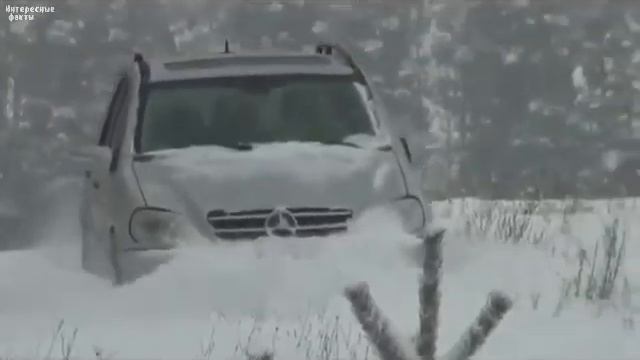 Прозвища иностранных автомобилей из народа.