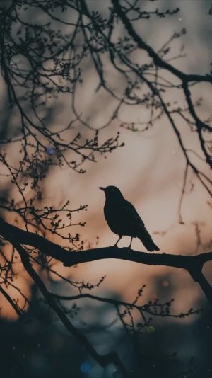 ЗА КРАСНОГОРСК! (ТРИПТИХ ДАВИДУ САМОЙЛОВУ (эпиграф),МАЛОЙ РОДИНЕ) -СТИХИ НАТАЛЬИ ШАХНАЗАРОВОЙ -2021