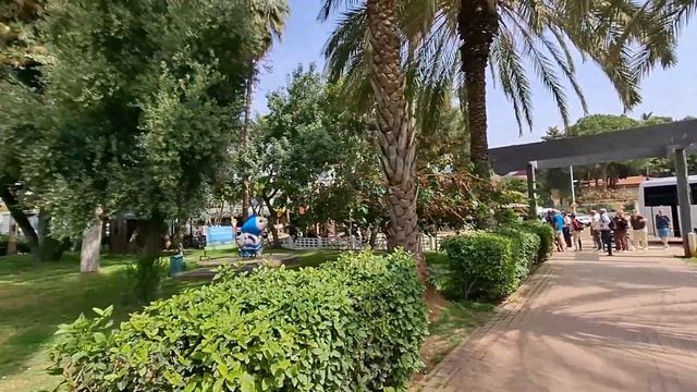 ТУРЦИЯ 2026АЛАНЬЯ СЕЗОН ХАЛЯВНЫХ ФРУКТОВ ОТКРЫТ