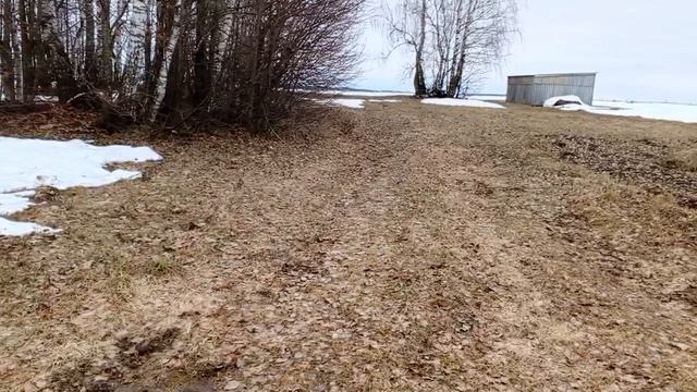 Неделя пасхальная.Со Светлой Пасхой всех!!!