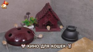 Видео для кошек про крысок развлекать питомцев 🐭🐀😂 (503)