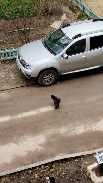 PXL_20260416_151712976