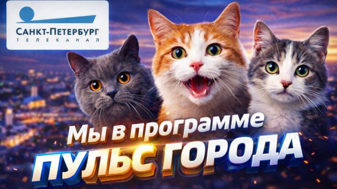 Мы в программе ПУЛЬС ГОРОДА.
