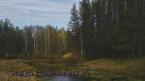 РекЛика 17 апреля  2026 Новолуние