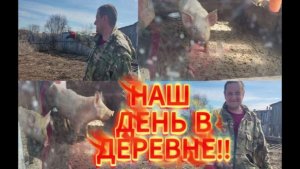 ВЛОГ/ДЕРЕВНЯ/ГОТОВИМ МЕСТО ПОД ТЕПЛИЦУ/НАШИ ПОРОСЯТА/
