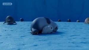 Морские Котики (SEALOOK) (15)