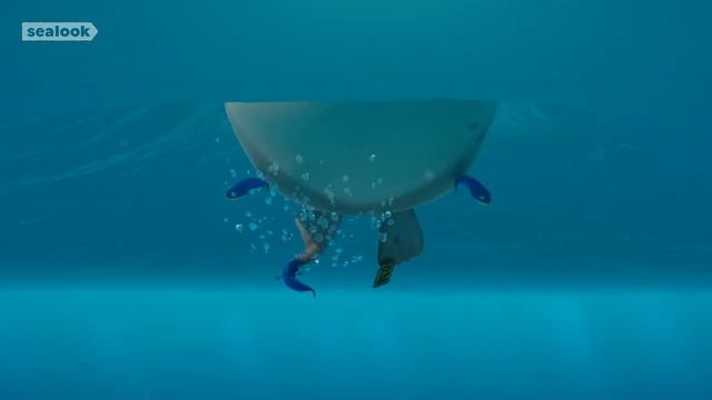 Морские Котики SEALOOK 25