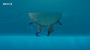 Морские Котики (SEALOOK) (25)