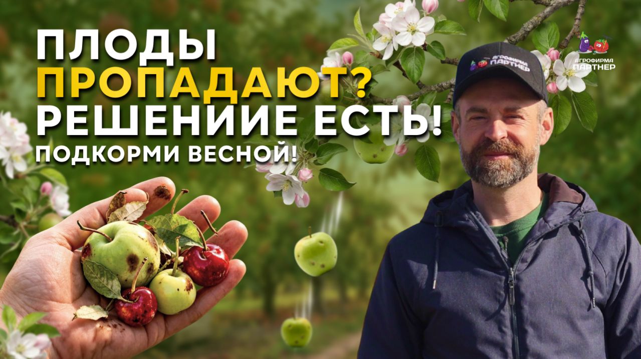 ВЕСЕННЯЯ ПОДКОРМКА САДА: что важно знать о подкормках плодовых деревьев и ягодных кустарников