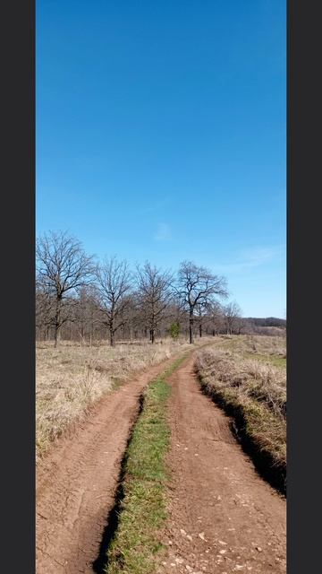 Фото с прогулки по горе и лесу. 

#весна #апрель #прогулка #фото #лес #гора #влесу #вкадре #природа