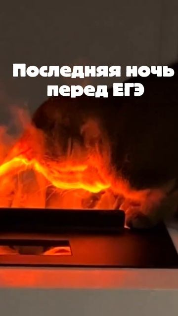Последняя ночь перед экзаменом