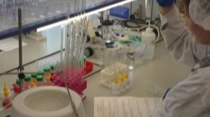 Профессионалитет ВАПК 2026