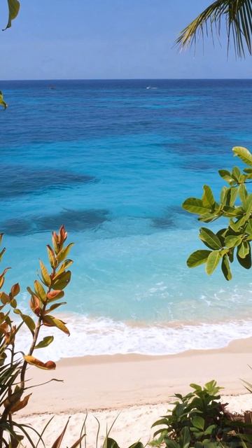 У синего моря