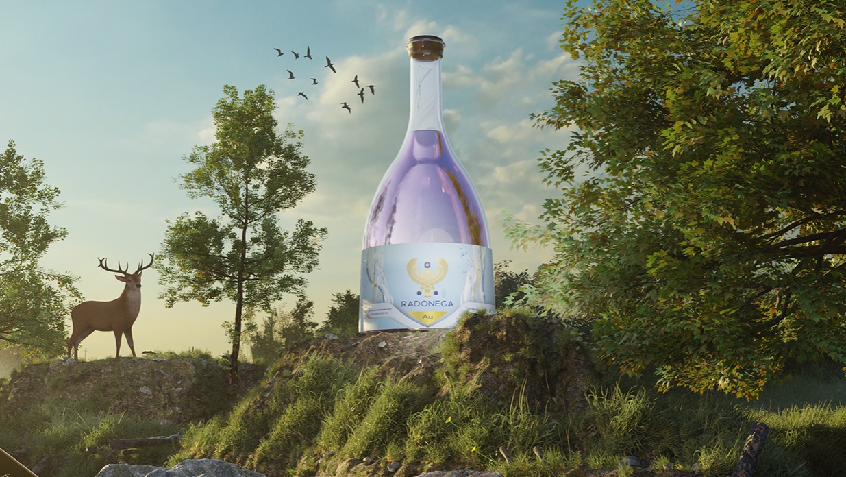 Интервью директора компании Radonega