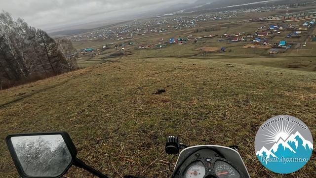 В поисках березового сока