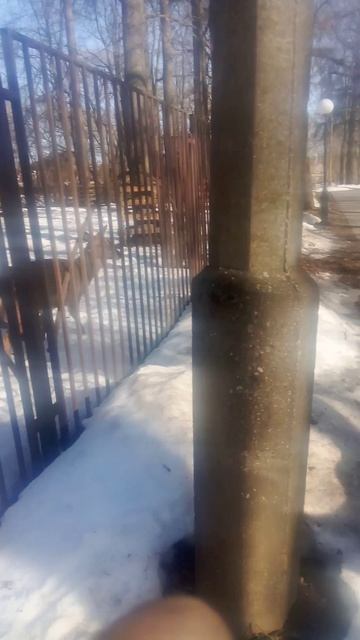 VID_20260315_150046.mp4