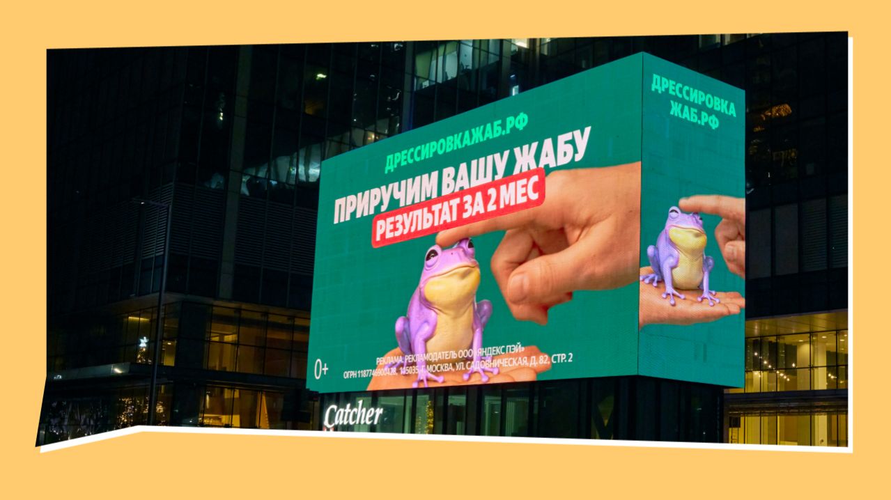 Дрессировка жаб