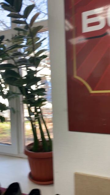 Дом ботинка