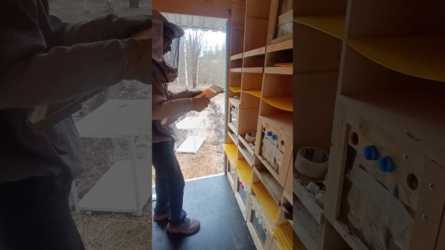 Включение пыльцесборного дна в пчелопавильонах «Трутень»