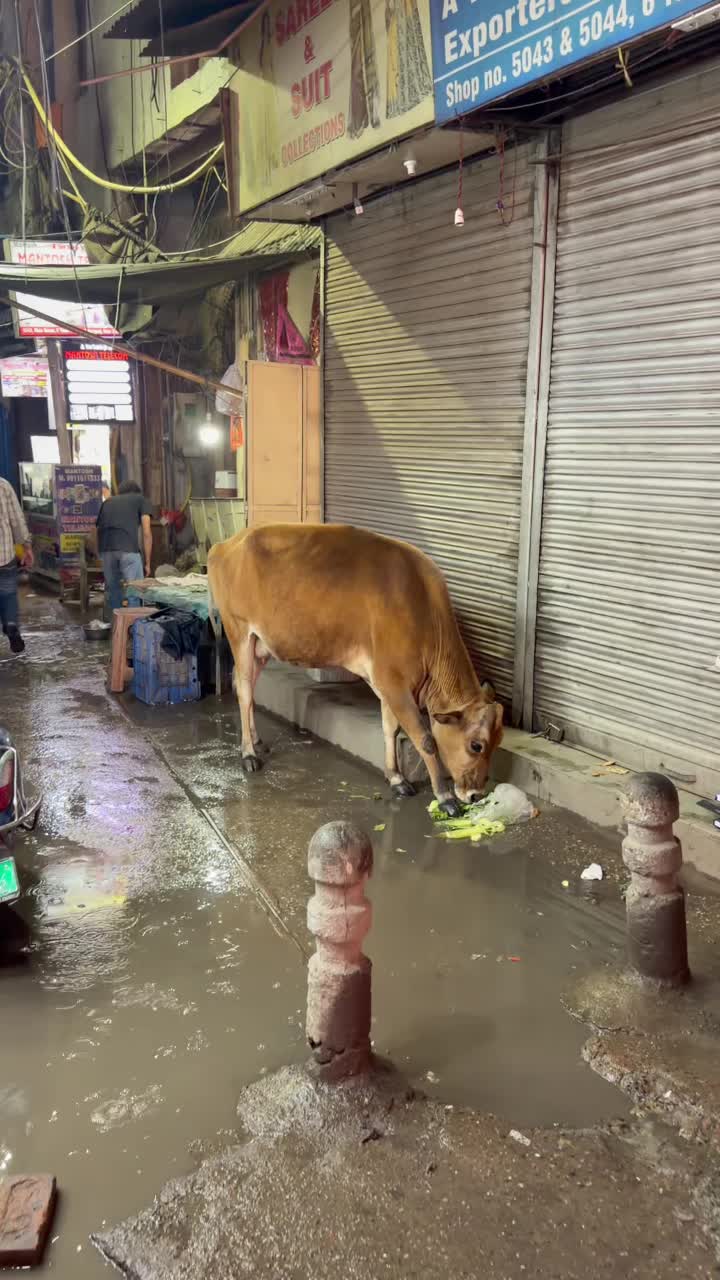 🔥 Всё, что нельзя выкладывать сюда - закулисье и истории, за которые меня постоянно банят, уже л...