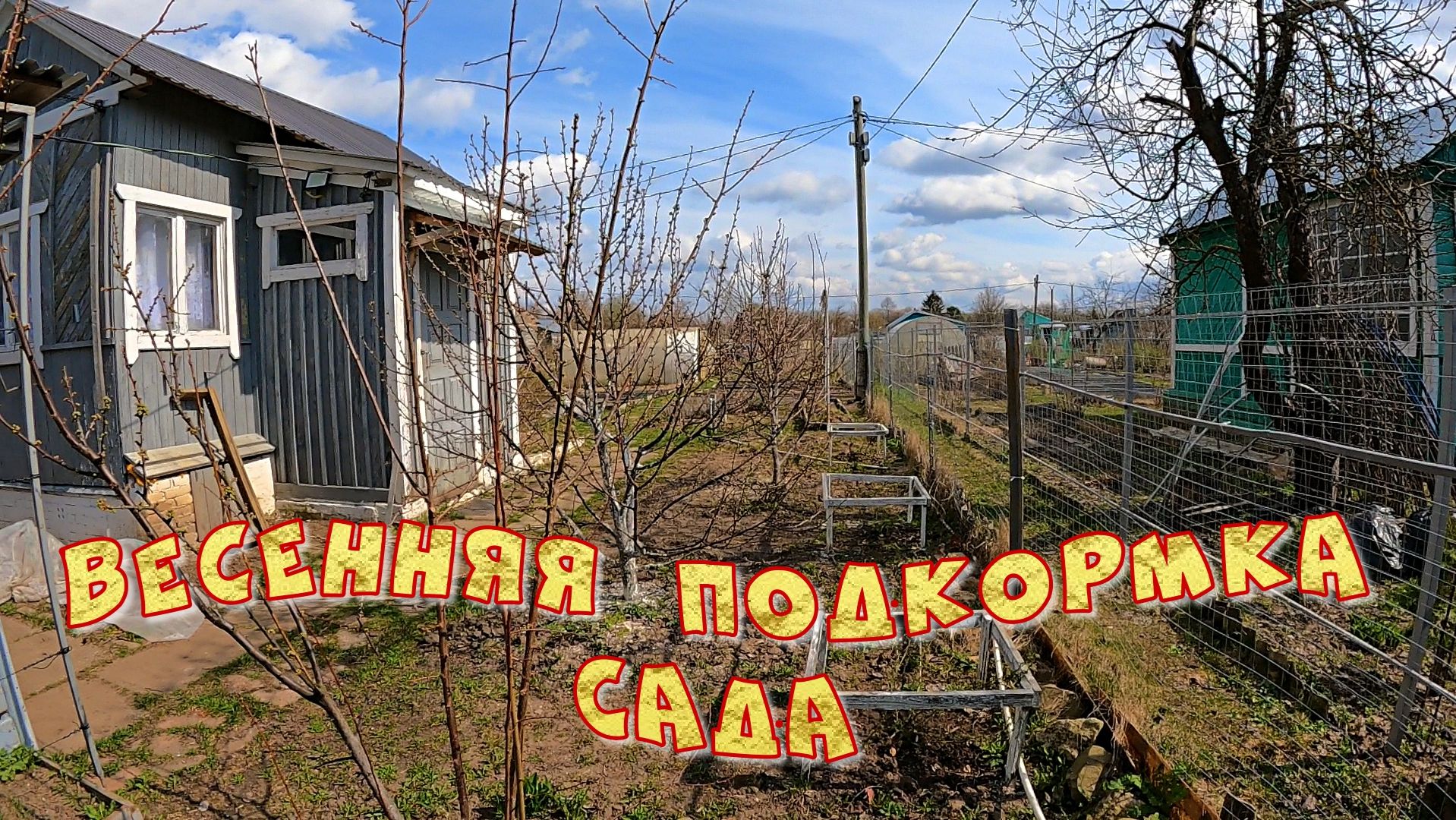 ВЕСЕННЯЯ ПОДКОРМКА САДА